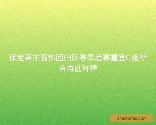 保定男排强势回归联赛季后赛重登C组榜首再创辉煌